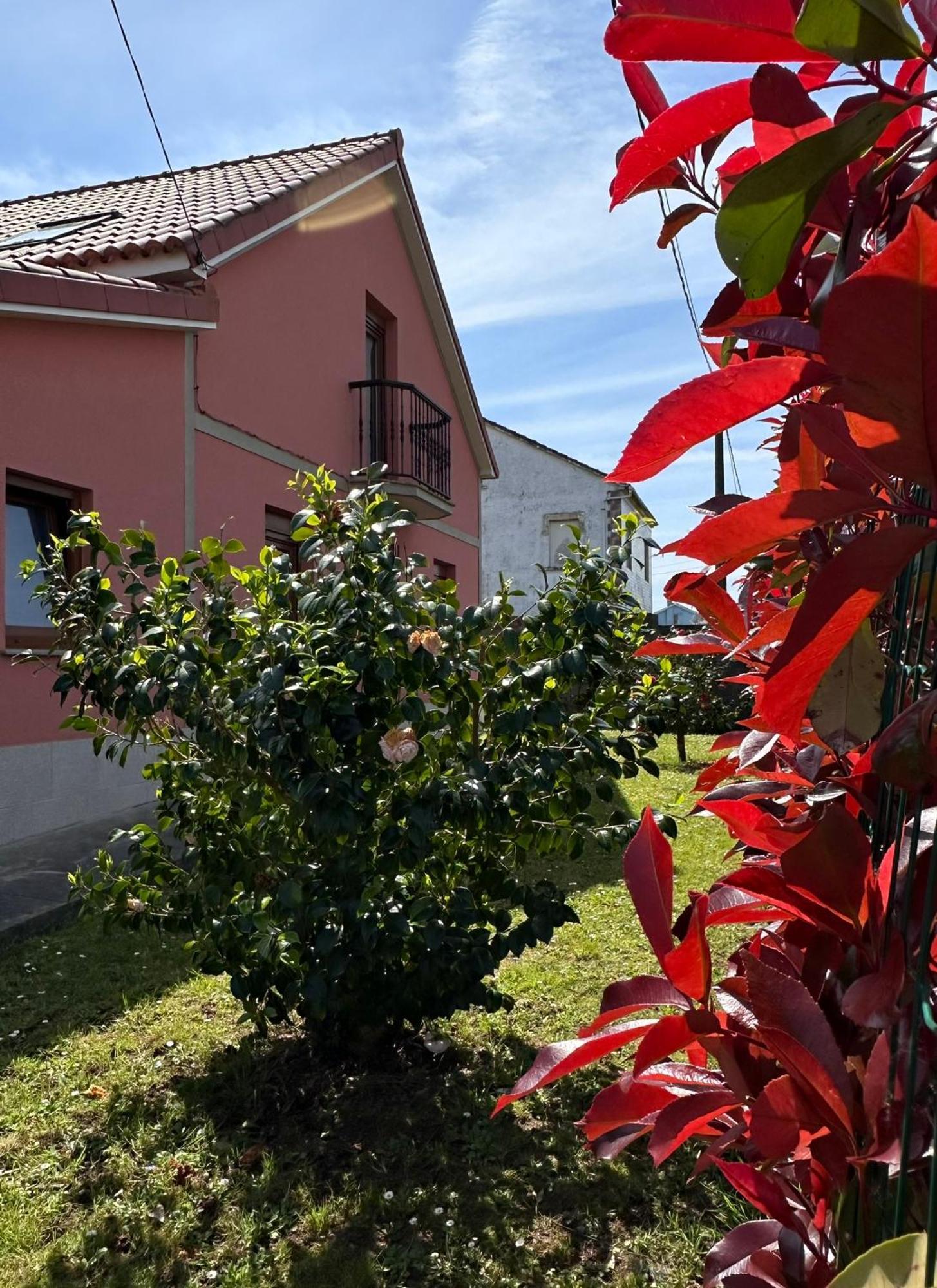 Casa Bieiteiros Villa Valdoviño Dış mekan fotoğraf